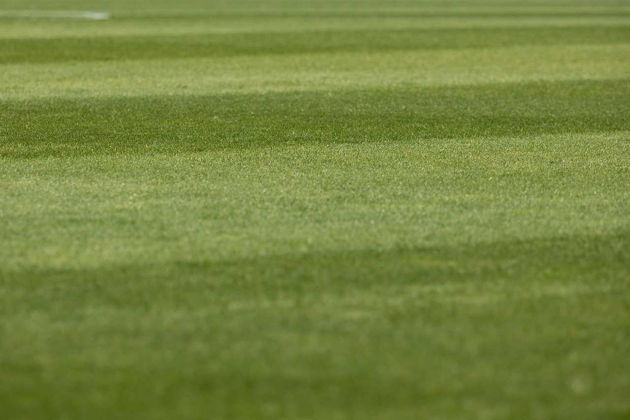 découvrez comment élaborer un argumentaire de vente efficace pour captiver votre audience et booster vos résultats commerciaux. apprenez les techniques essentielles pour convaincre vos clients et augmenter vos conversions.